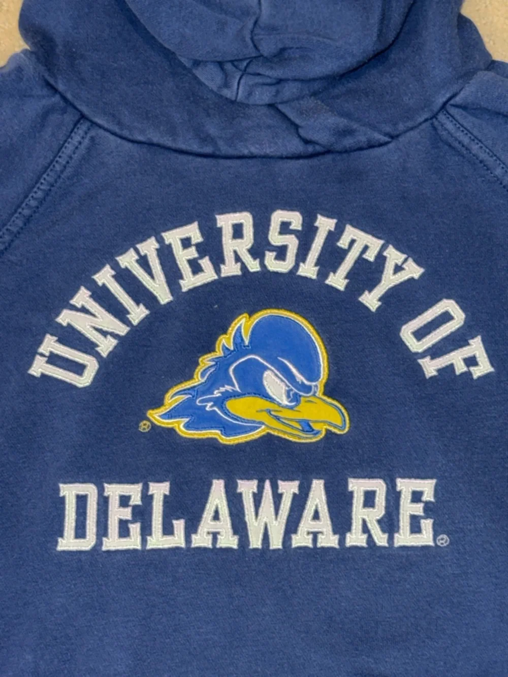 University of Delaware blue hens hooded hoodie sweatshirt with pockets - Picture 2 of 6